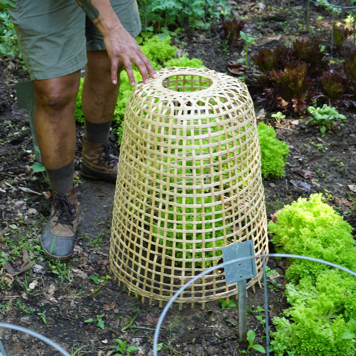 Woven Bamboo Garden Cloche