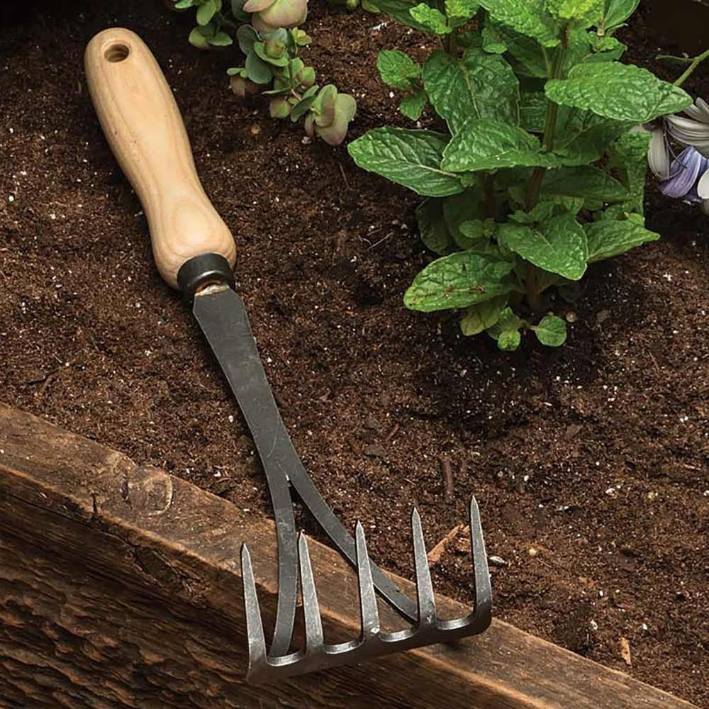 5-Tine Hand Rake