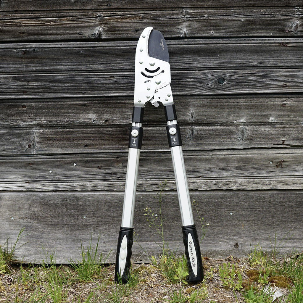 Ultimate Pruning Set