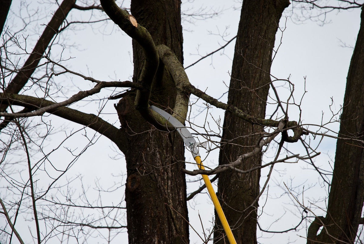 Hi-Reach 19 ft Pole Saws