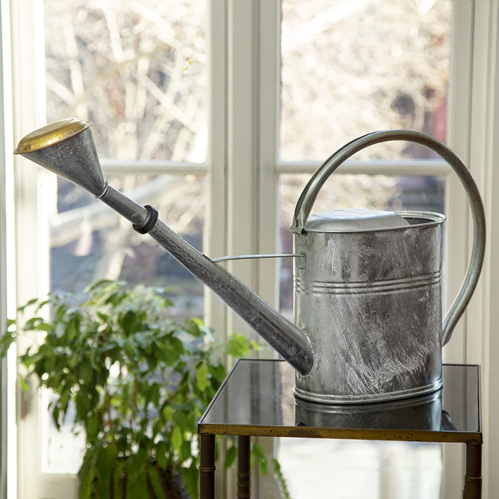 2-Gallon Oval Watering Can With Brass Rose
