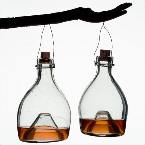Eco-Friendly Glass Wasp Trap