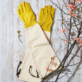 Heavy-Duty Bramble Gloves With Integrated Arm Guards - Large