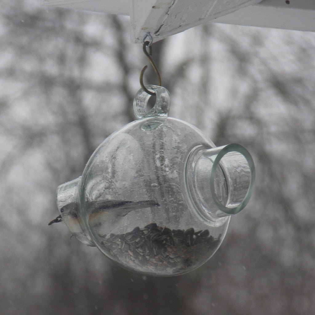 Large Glass Bird Feeder
