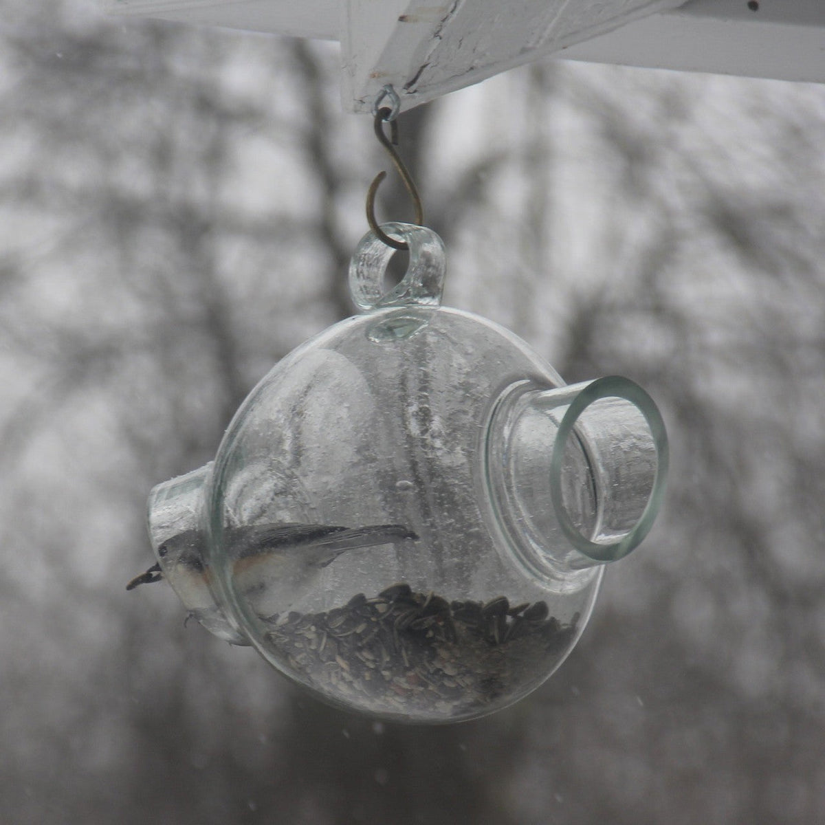 Large Glass Bird Feeder
