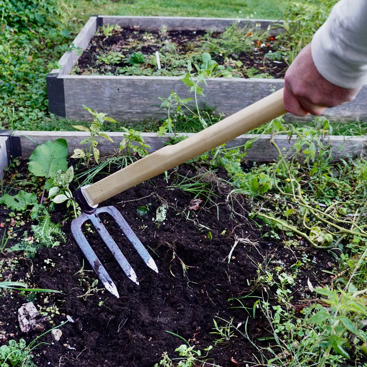 3-Tine German Made Cultivator