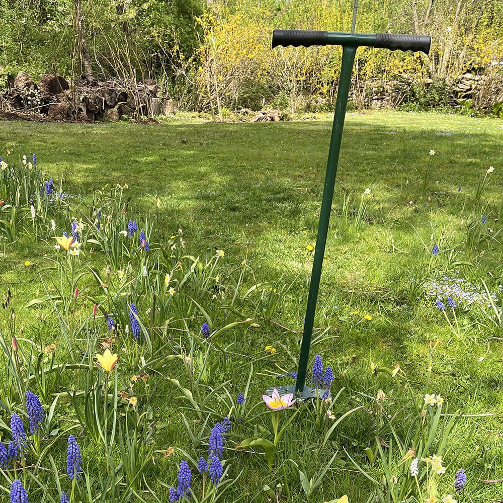 Stand-up Bulb Planter