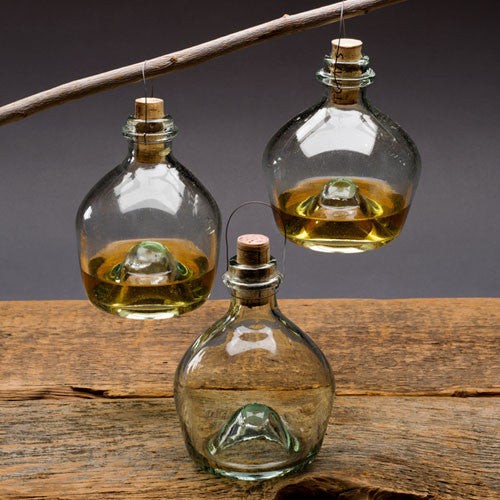 Eco-Friendly Glass Wasp Trap
