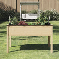Raised Garden Bed