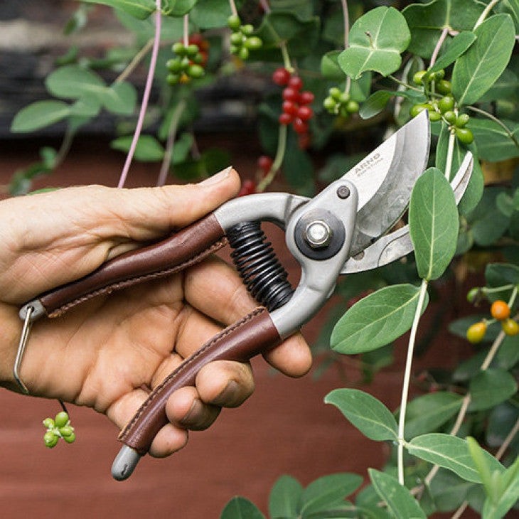 French-Made Trim Pruner & Holster Set