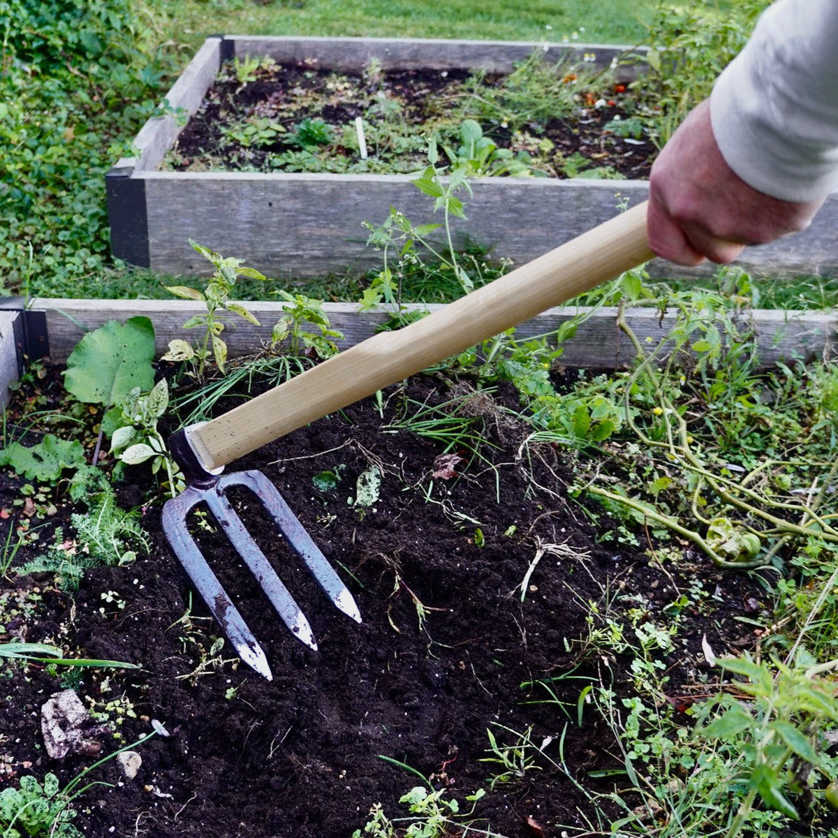 3-Tine German Made Cultivator