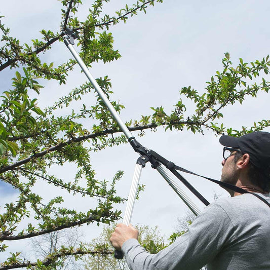 Arborist Long Reach Cutter/Trimmer