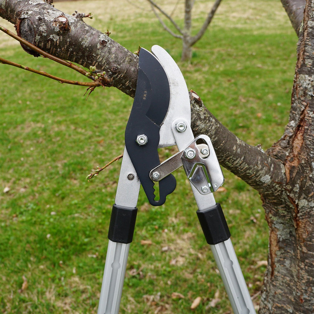 Heavy Duty Bypass Lopper