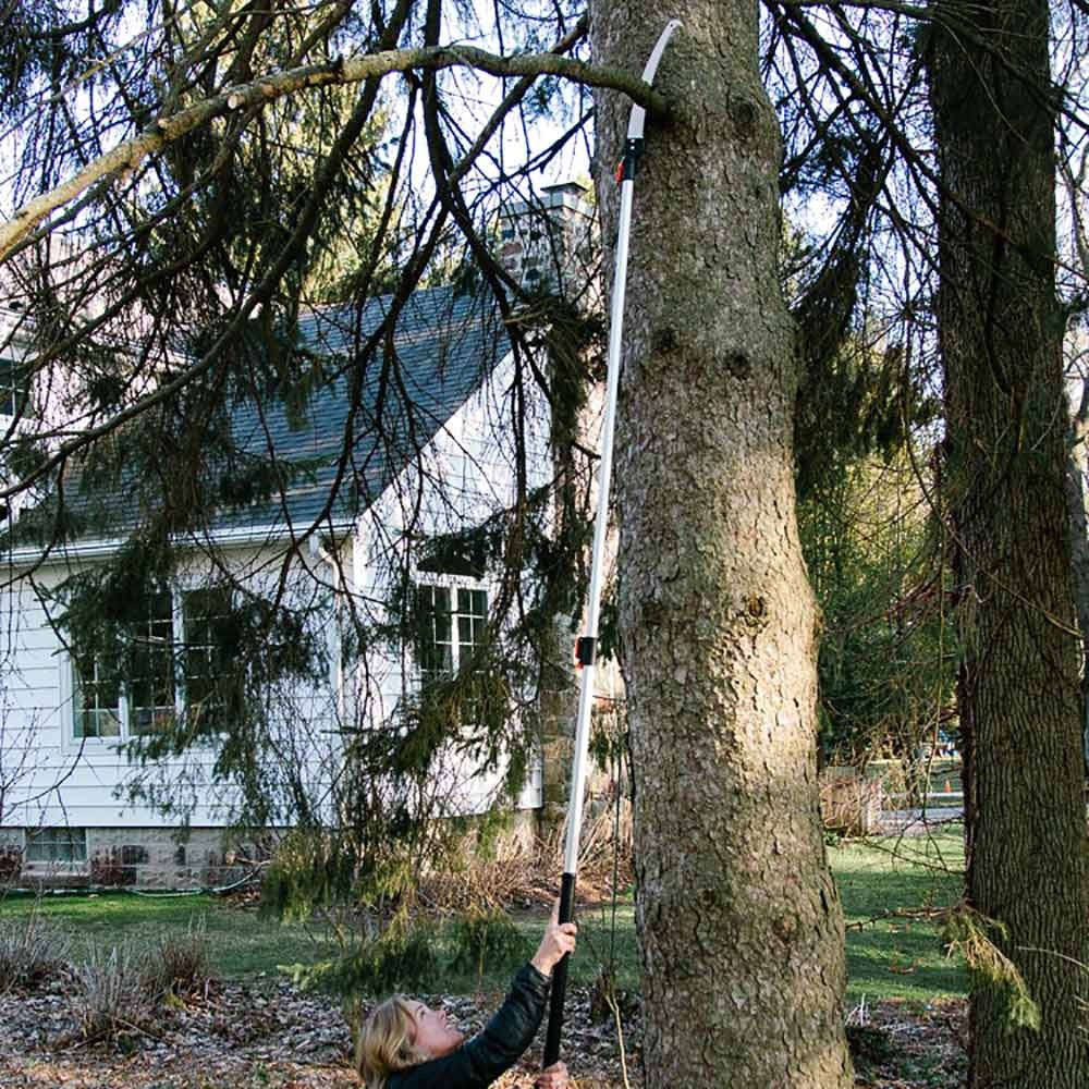 Extendable Jumbo Pole Saw & Pruner