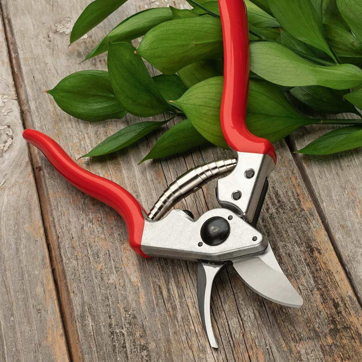 Everyday Garden Set