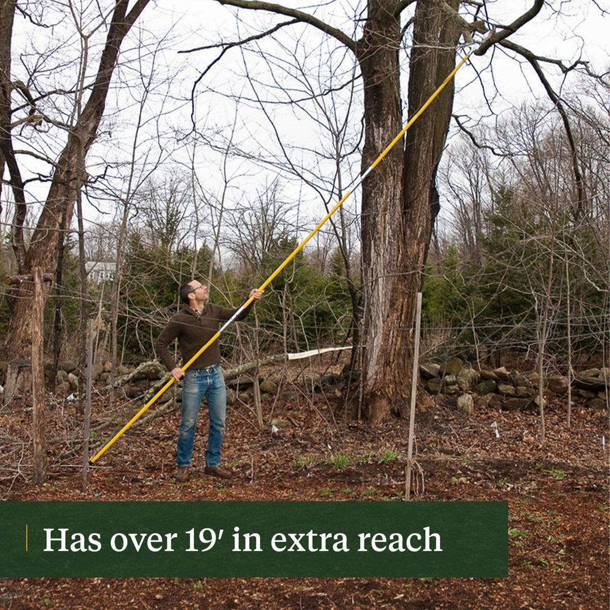 Hi-Reach 19 ft Pole Saws
