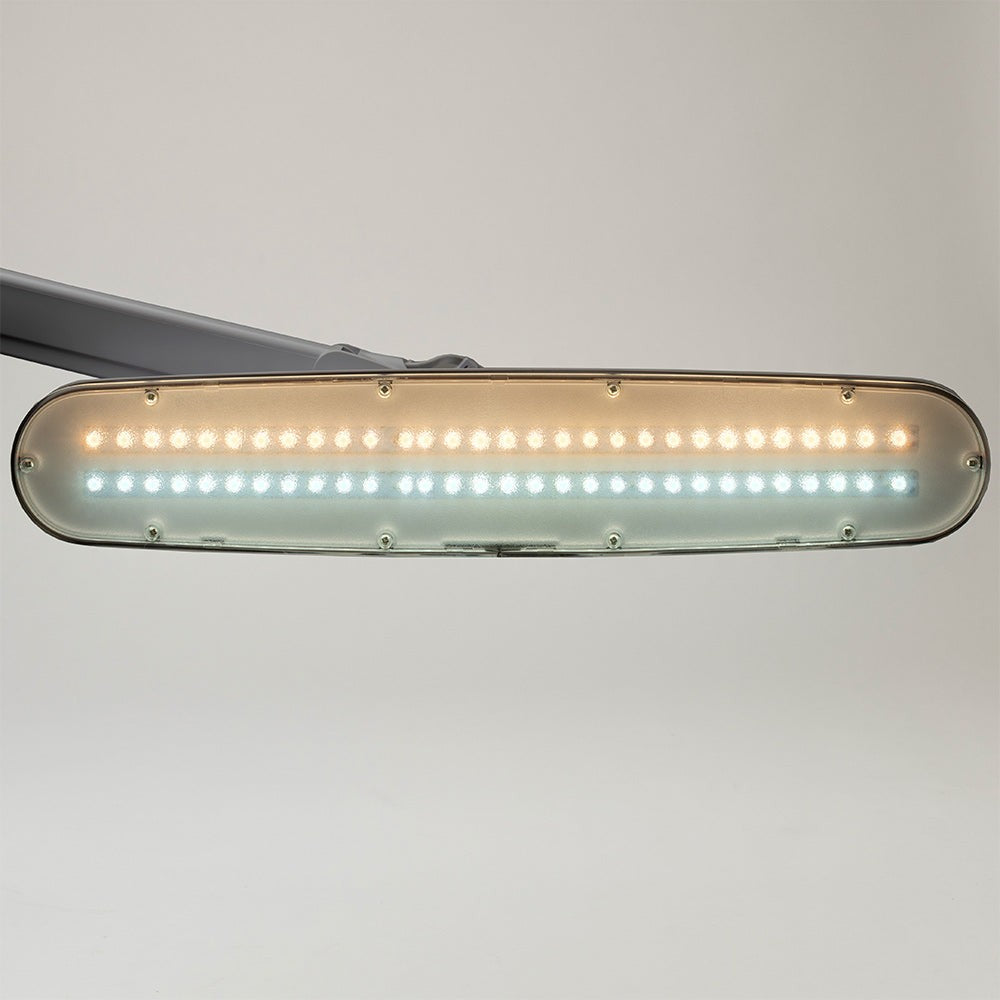 Professional Task Light