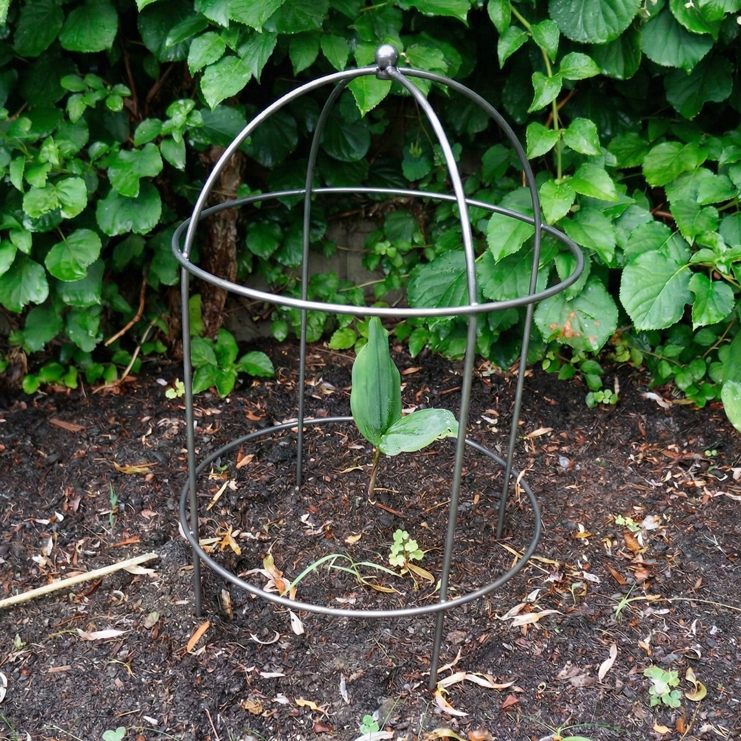 Domed Garden Support (Set of 4)